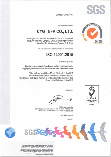 Cina Cyg Tefa Co., Ltd. Sertifikasi